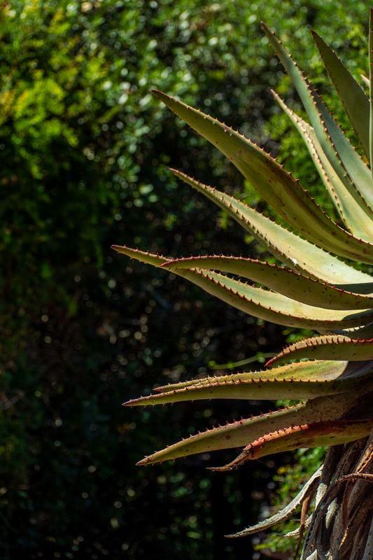 0 Bedroom Property for Sale in Moquini Western Cape